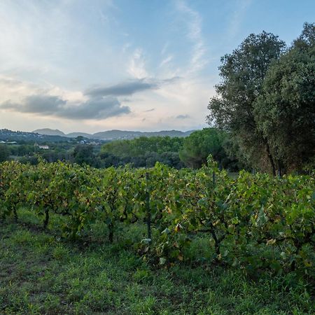Casa Rural El Bruguer Vell Santa Eulalia de Ronsana ภายนอก รูปภาพ