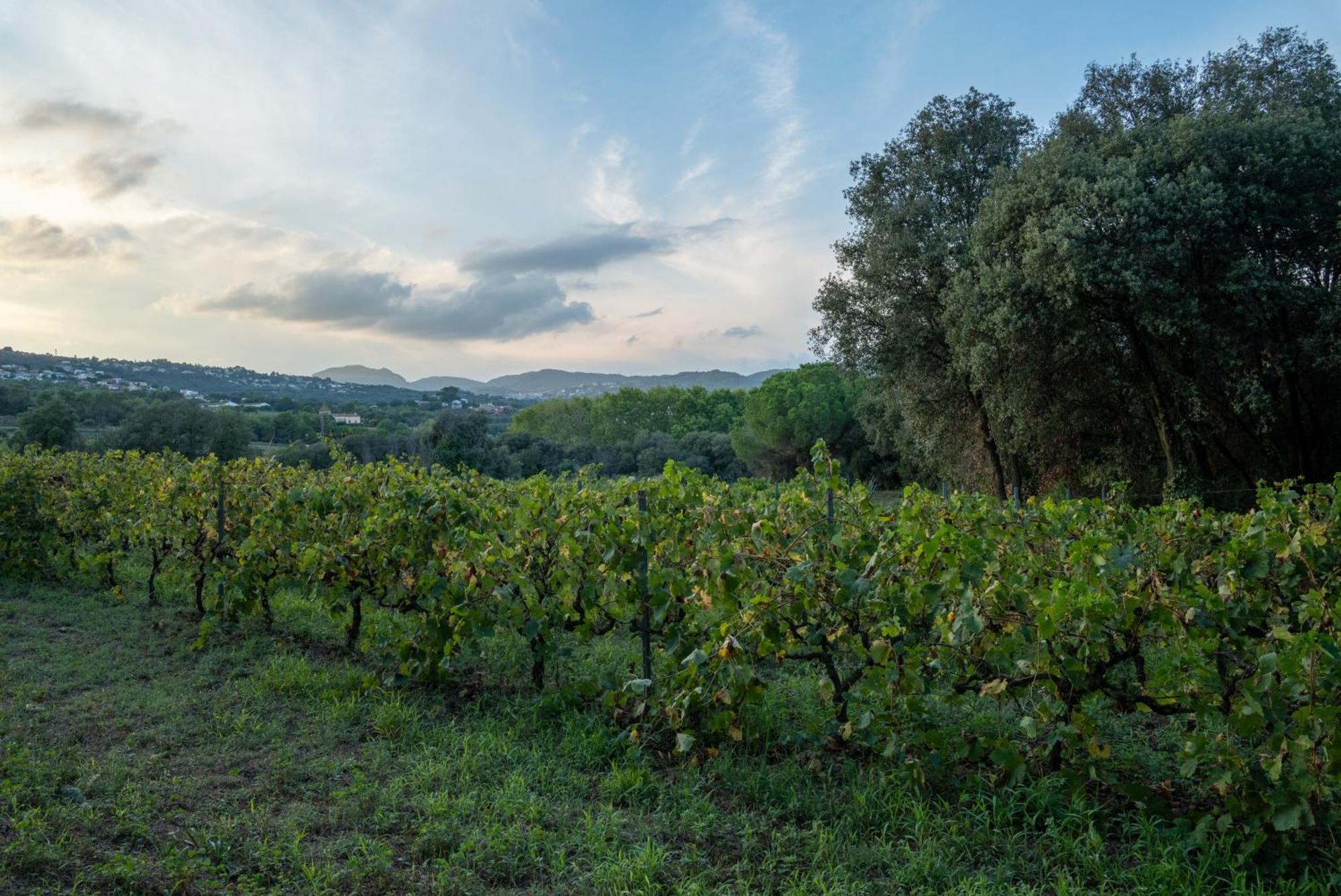 Casa Rural El Bruguer Vell Santa Eulalia de Ronsana ภายนอก รูปภาพ